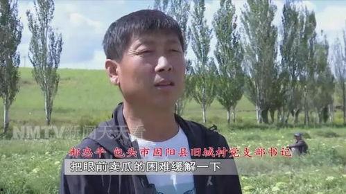 娱乐吃瓜老王是谁的小说,揭秘娱乐圈幕后风云